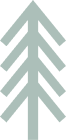 Tree Icon